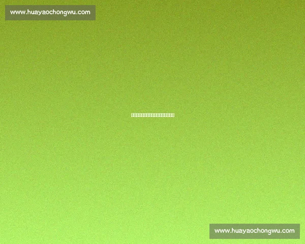 红魔寻锋：曼联能否再觅下一个鲁尼？