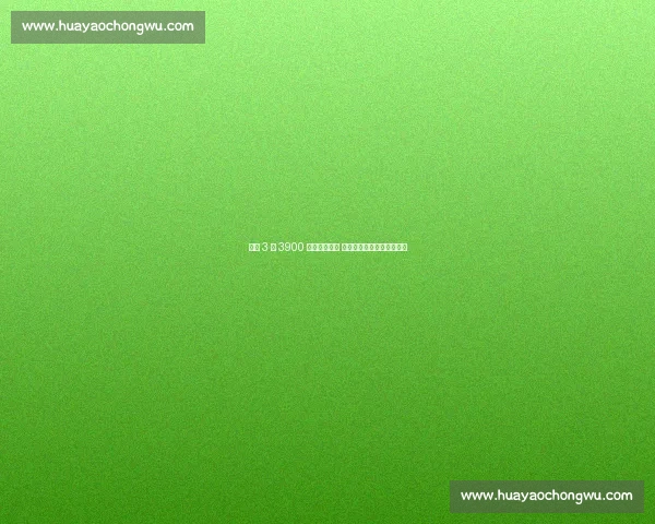 火箭 3 年 3900 万续约亚当斯 历史级篮板王留队巩固内线