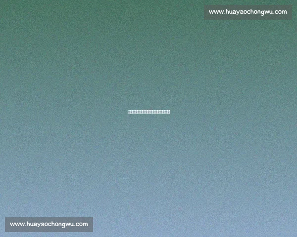 科莫领跑阿布德争夺战,罗马仍未行动 科莫领跑阿布德争夺战,罗马仍未行动