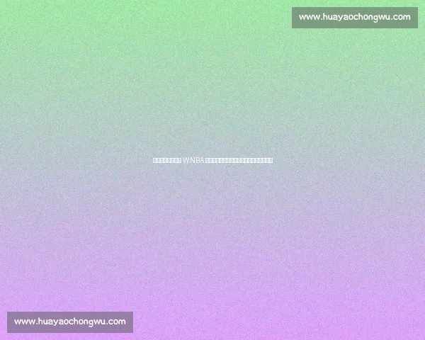 库里与波杰姆斯基 WNBA 赛场温情互动：师徒对话点燃跨界篮球热情