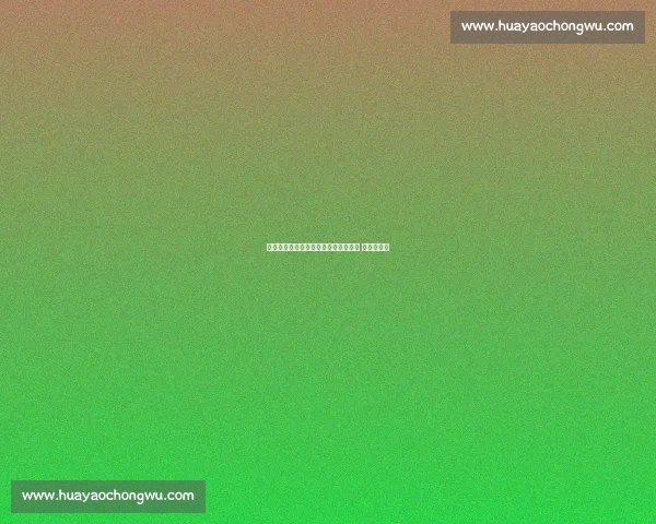 特瓦斯回应梅西离队争议：西甲未干预 盼赛事入华