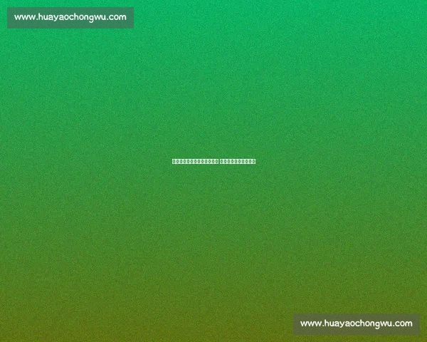 广州恒大与北京国安激烈对决 双方拼劲十足力争胜利