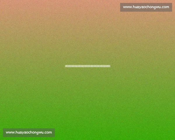 冰岛对阵荷兰强强碰撞欧洲足坛焦点之战前瞻解析实力走向与战术看点