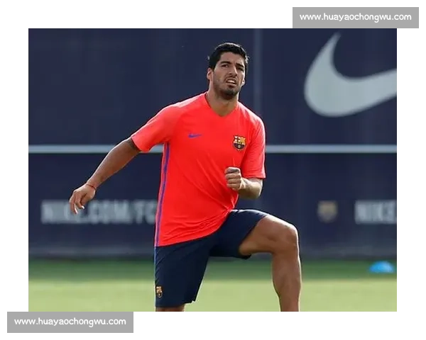 巴塞罗那对阵凯尔特人欧战焦点之夜战术与激情碰撞前瞻全景解析